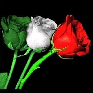 Meet your Posher, Taresa